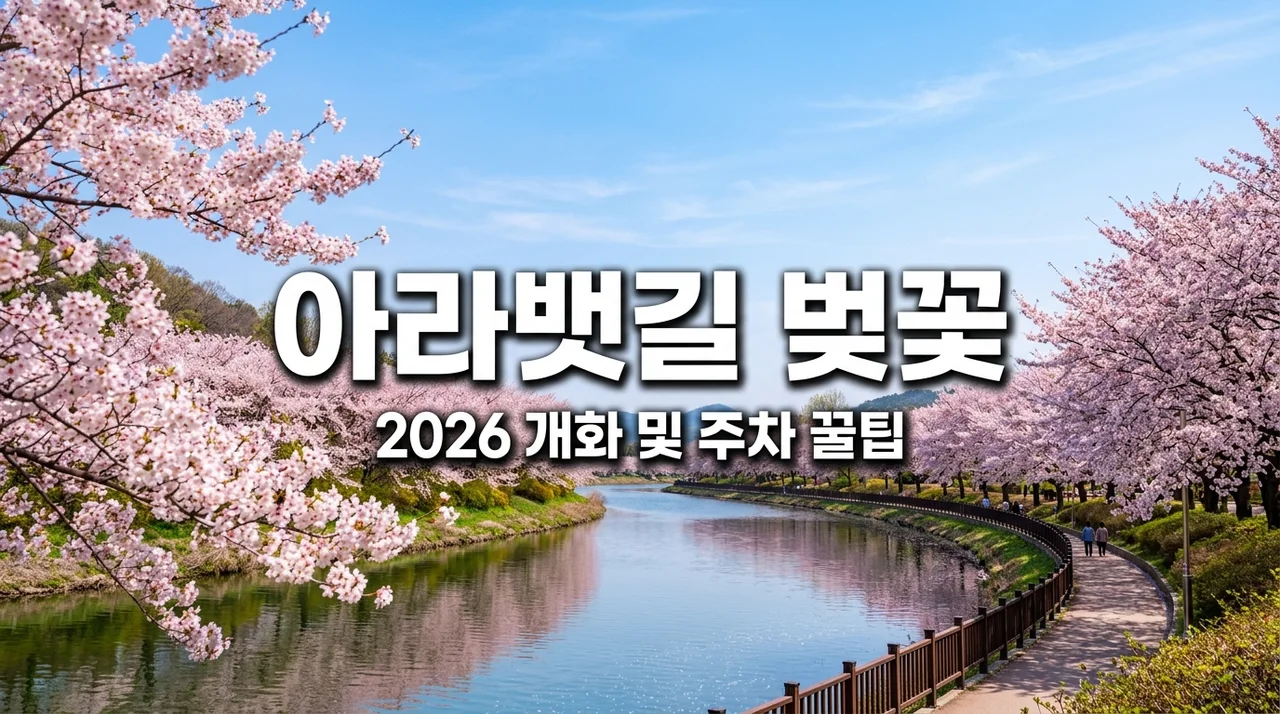 2026 아라뱃길 벚꽃 개화 시기 및 무료 주차 명당 (인파 피하는 나들이 황금 코스)