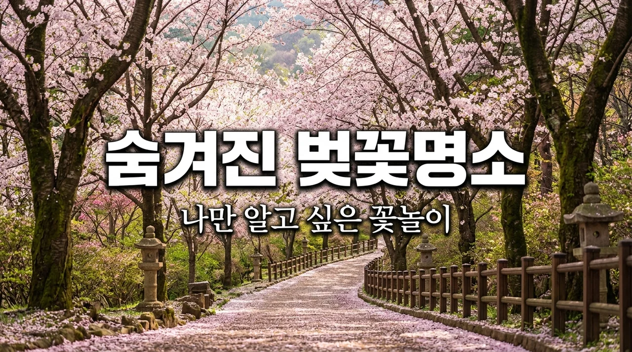 아직도 사람 많은 곳으로 가세요? 전국 숨겨진 벚꽃명소 TOP 7
