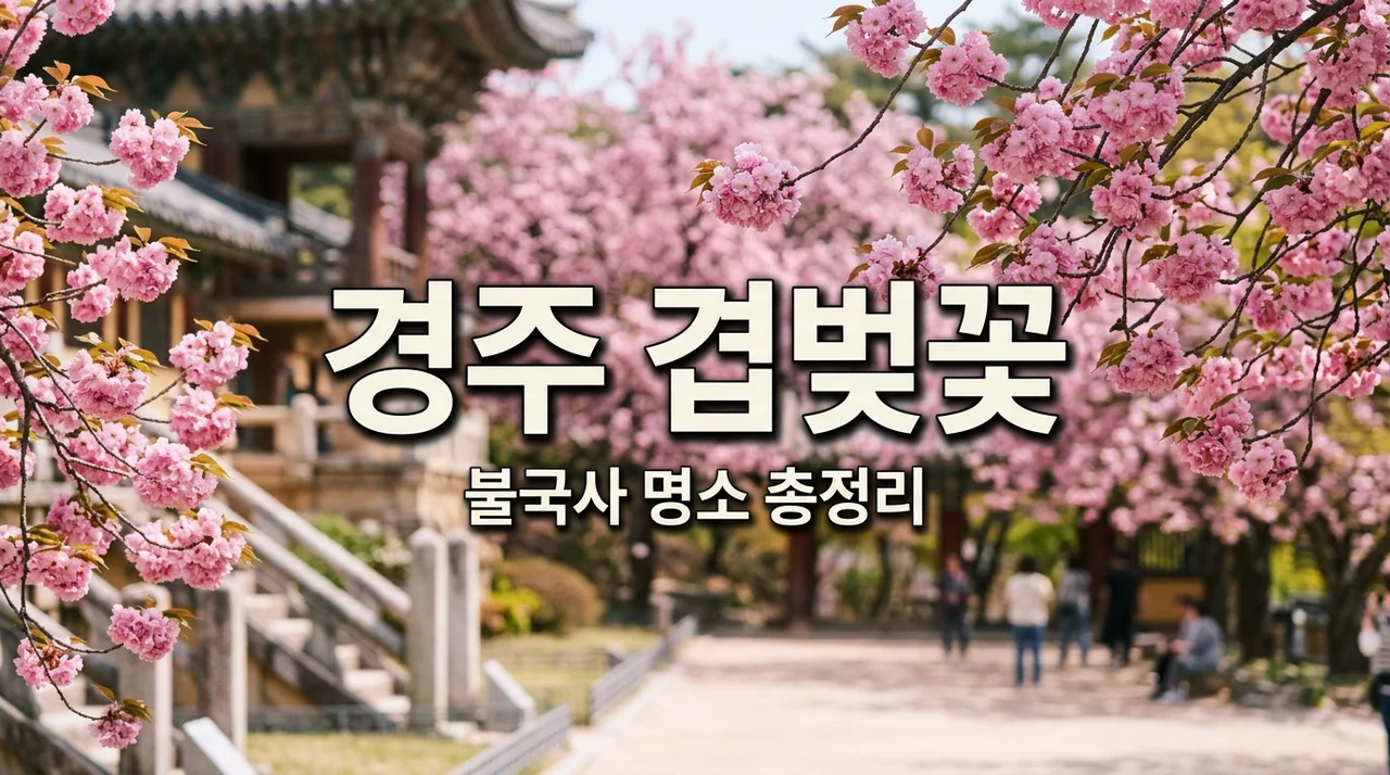 경주 겹벚꽃 불국사 개화시기 명소 완벽 가이드 (2026 최신)