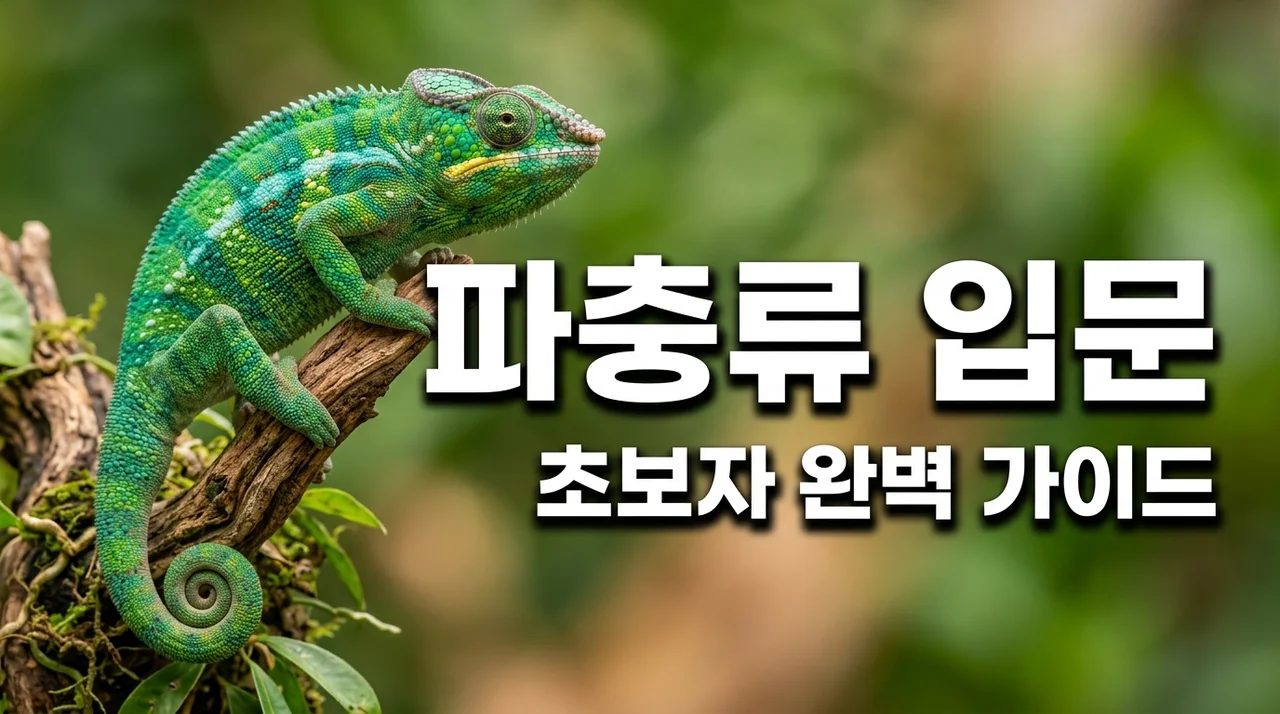 초보도 성공하는 2026년 파충류 반려동물 가이드: 종류부터 관리법까지 완벽 정리