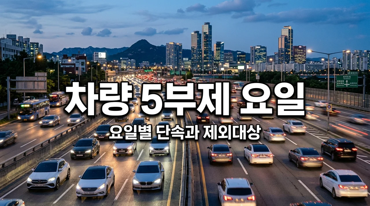 차량 5부제 요일 및 위반 과태료 (2026 최신판) 제외 대상과 공영주차장 혜택 총정리
