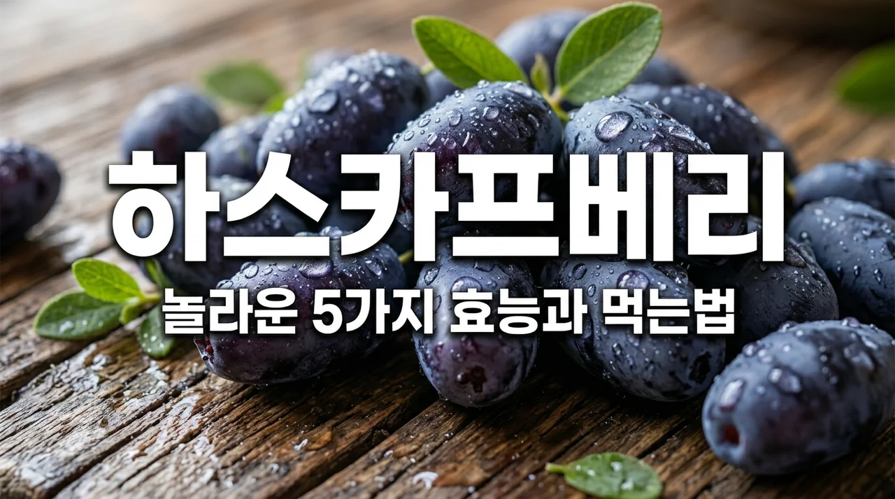 하스카프베리 효능 5가지와 먹는법 부작용 총정리 (안토시아닌의 왕)