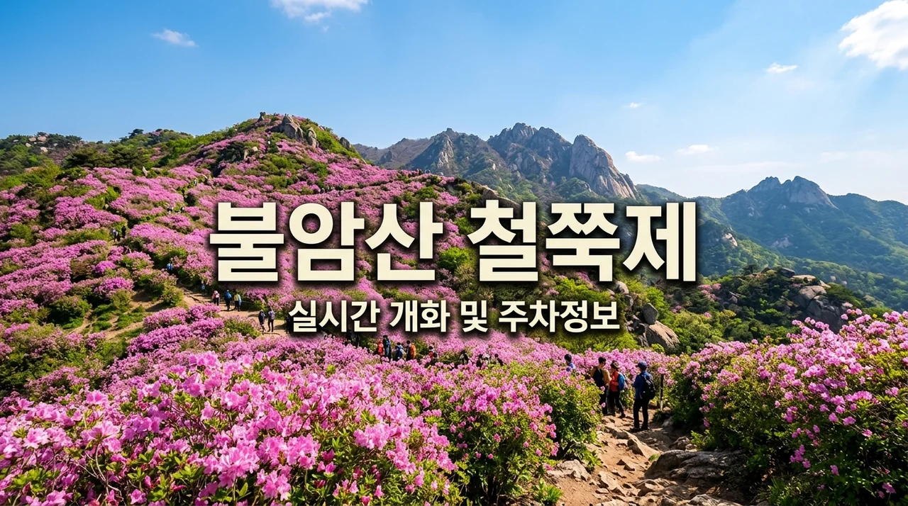 불암산 철쭉축제 실시간 개화현황 주차 및 추천코스 총정리 (2026)