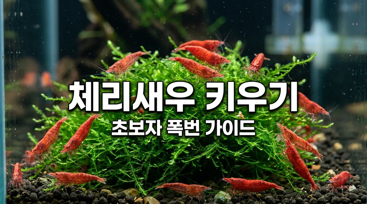 체리새우 키우기 가이드: 폭번을 위한 온도와 먹이 관리 비결