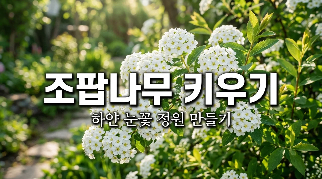 조팝나무 키우기 완벽 가이드: 물 주기부터 가지치기 시기까지 총정리