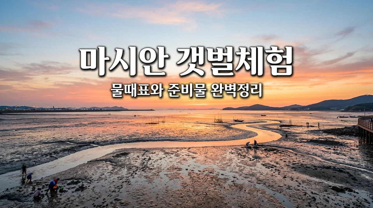 마시안 갯벌체험 완벽 가이드: 물때표 확인부터 준비물, 주차 꿀팁까지