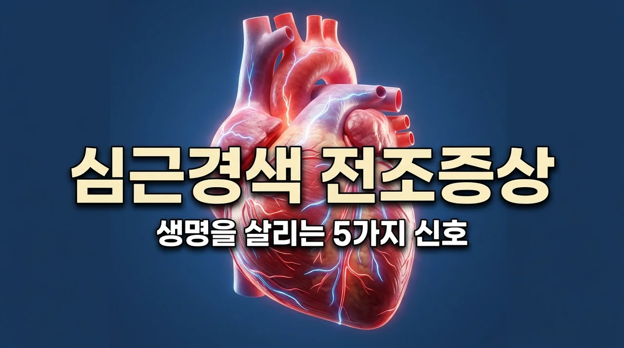 심근경색 전조증상 5가지와 골든타임 대처법 (생명을 살리는 신호)