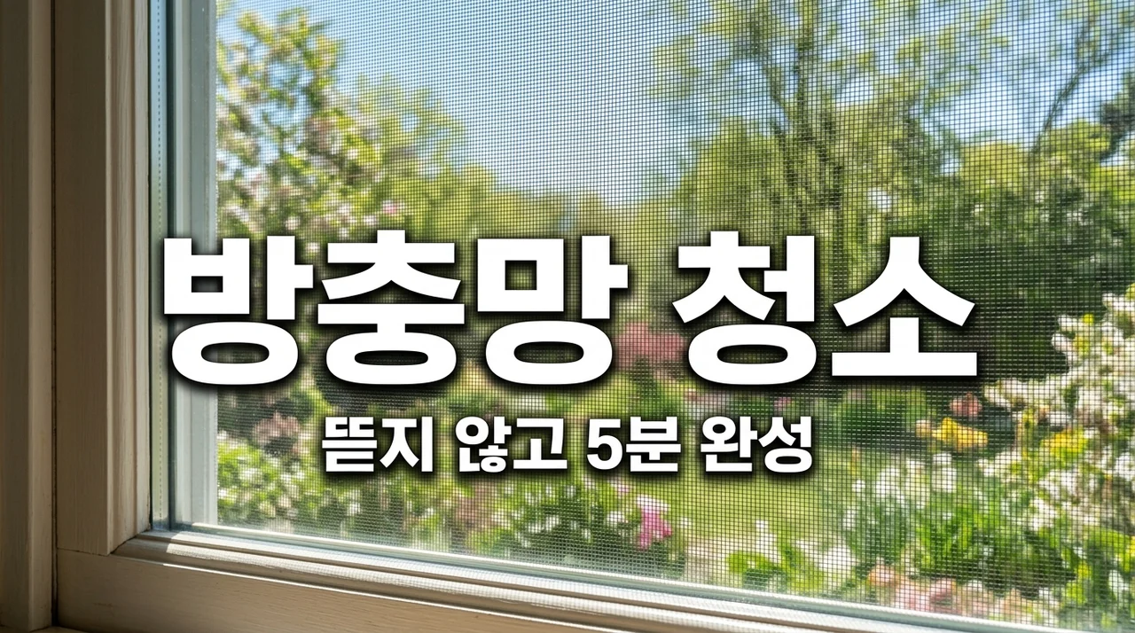 봄맞이 방충망 청소방법, 뜯지 않고 미세먼지 제거하는 5분 꿀팁