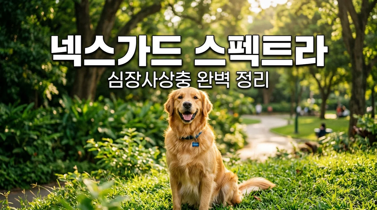 강아지 심장사상충 넥스가드 스펙트라 가격 주기 부작용 완벽 가이드