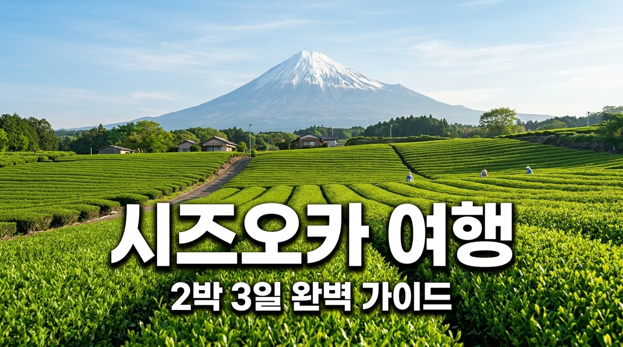 일본 시즈오카 여행 코스 경비 총정리! 후지산 뷰 명소부터 뚜벅이 팁까지