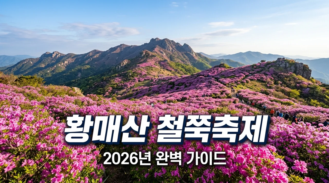 2026 황매산 철쭉축제 총정리: 개화시기 주차 셔틀 코스 완벽 가이드