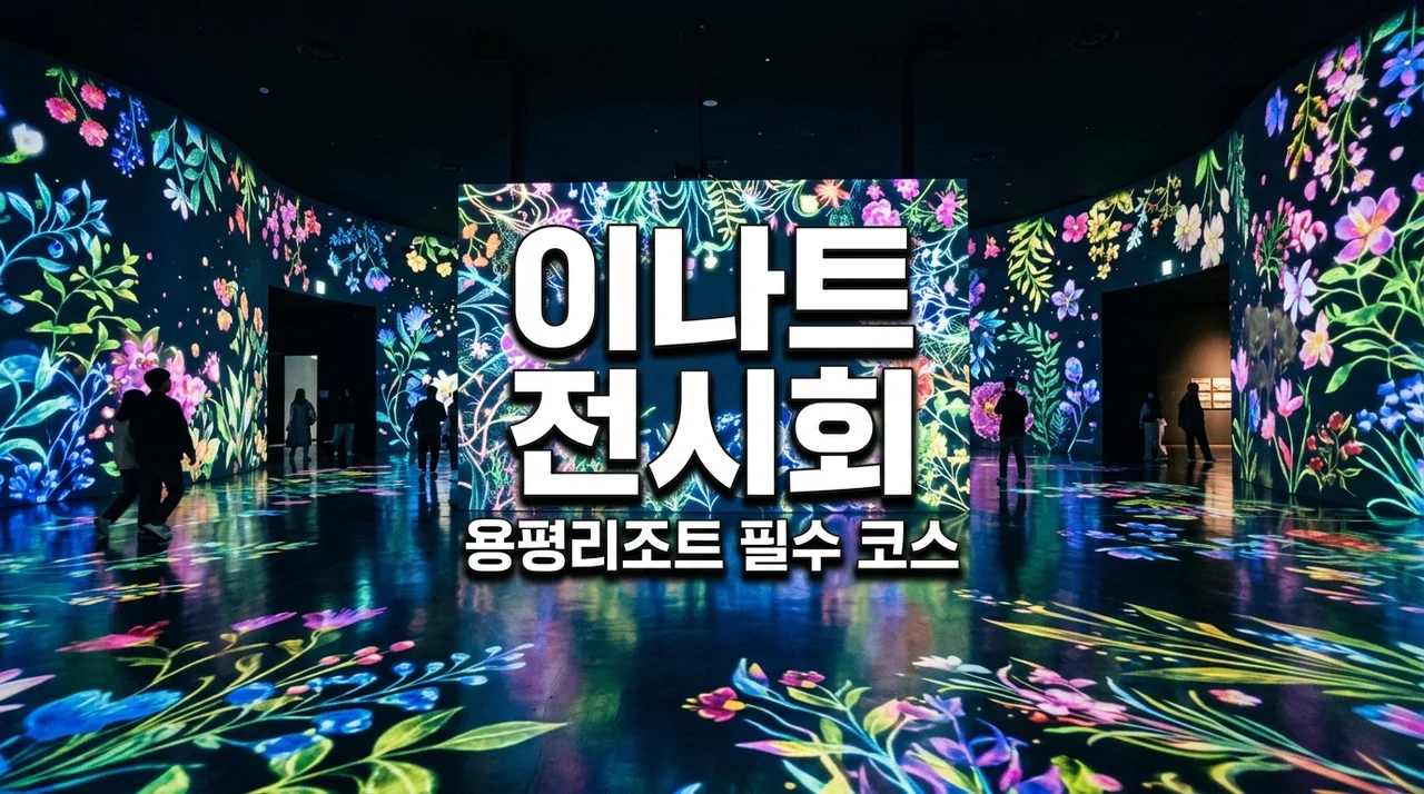 용평리조트 이나트 미디어아트 완벽 가이드: 가격 할인 및 관람 꿀팁