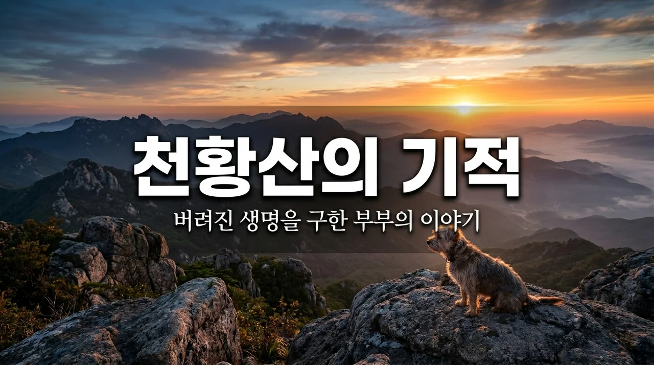 천황산 정상 유기견 사건, 등산객 부부의 헌신이 만든 기적 같은 구조 실화