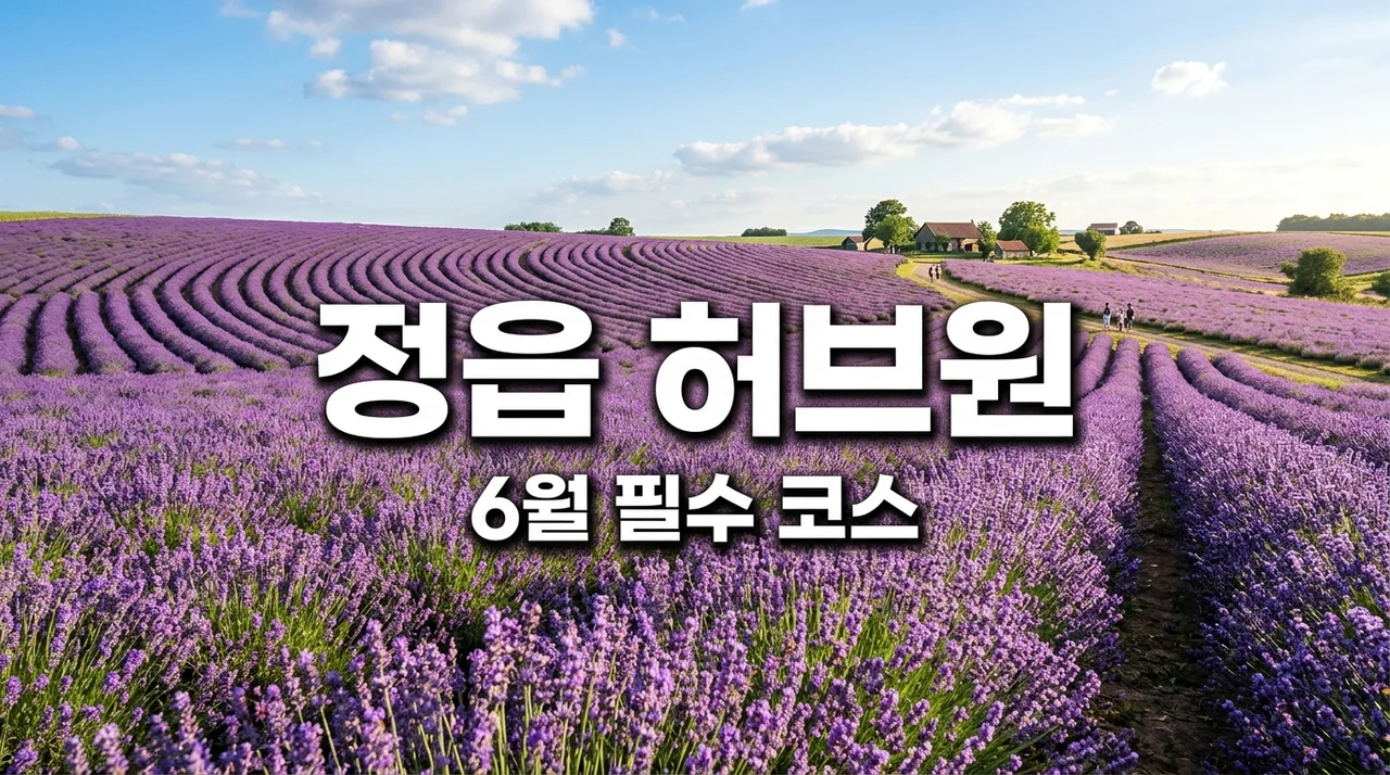 정읍 허브원 라벤더 축제 6월 드라이브, 입장료 할인보다 중요한 실전 꿀팁