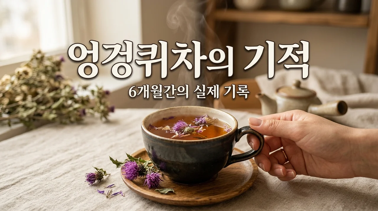 엉겅퀴차 효능, 6개월간 매일 마셔보며 느낀 몸의 변화와 찐 후기