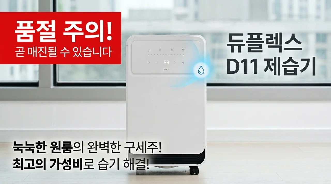 품절주의! 듀플렉스 D11 제습기, 눅눅한 자취방 구원할 가성비 끝판왕