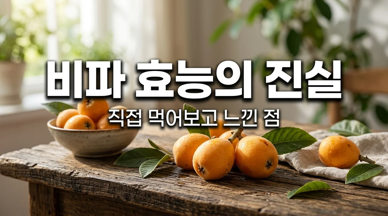 비파 효능, 약재의 왕이라 불리지만 정작 '이것' 모르면 낭패인 이유