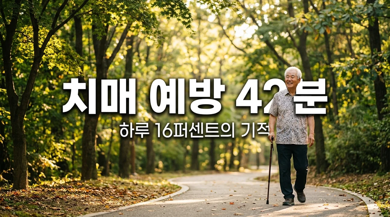 치매 예방 방법, 하루 42분 햇볕 쬐기가 바꾼 나의 뇌 건강 변화