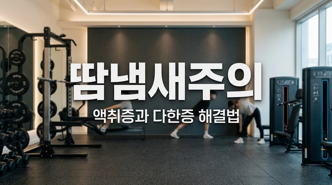 [리얼후기/비교] 헬스장 땀 냄새 강제 퇴출? 액취증 다한증 원인 및 해결 방법
