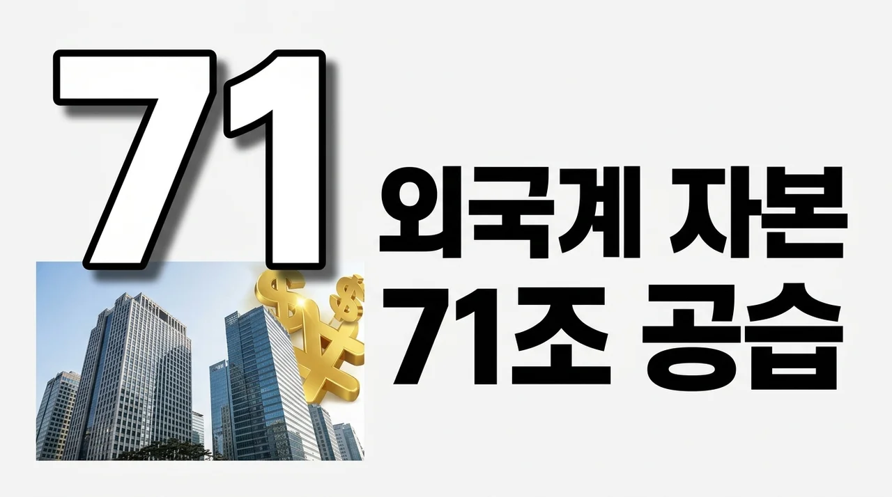 외국계 사모펀드 한국 기업 인수 M&A 시장의 71조 공습 배경과 전망