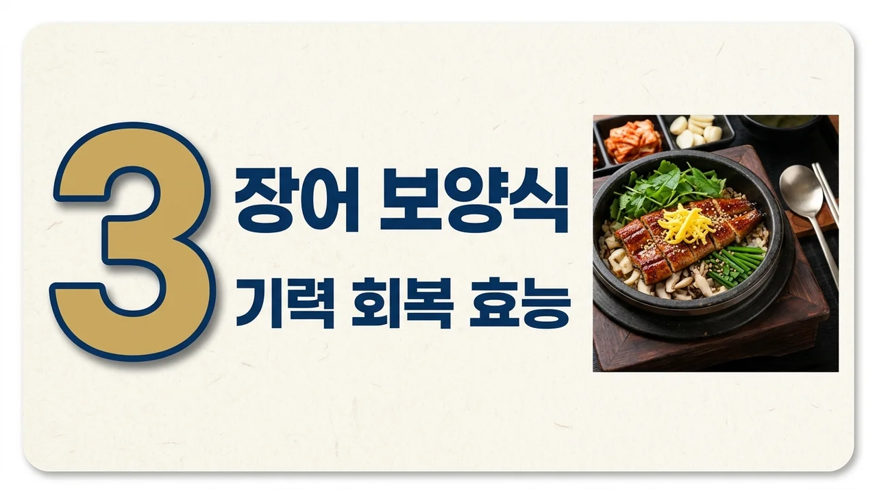 [리얼후기/비교] 장어 효능 및 부작용 총정리! 한고은도 반한 저열량 보양식 비결