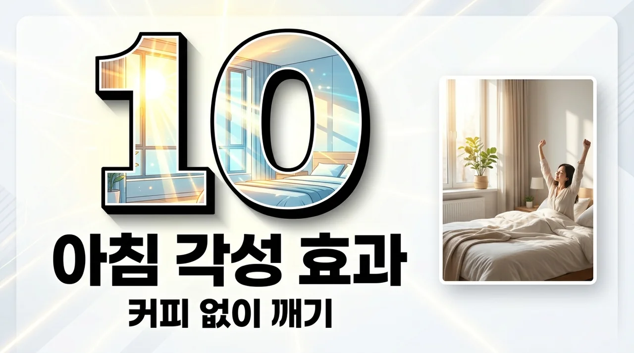 아침 각성 효과 커피 대신 햇빛으로 뇌를 깨우는 과학적 방법
