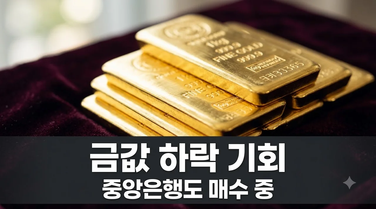 금값 하락 지금이 기회? 한국은행도 13년 만에 금 매수한 진짜 이유