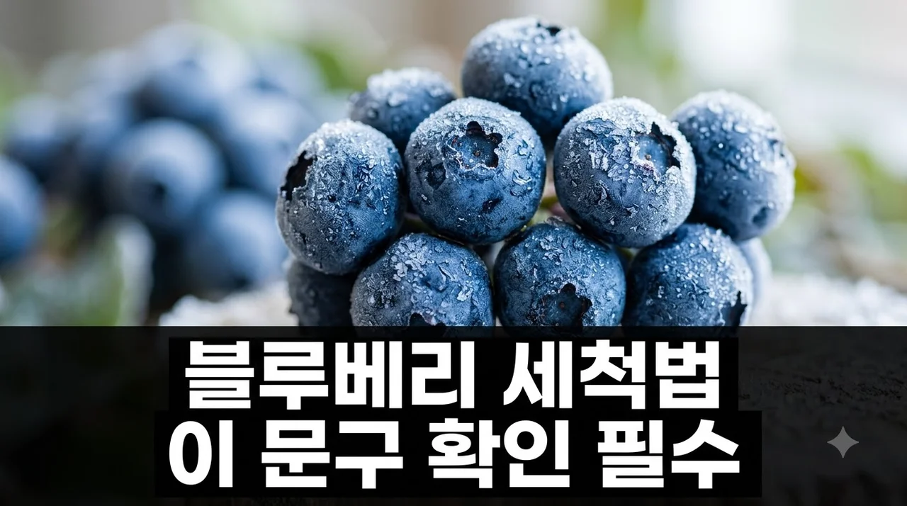 냉동 블루베리 세척 안 하면 농약 10배? 포장지 이 문구 꼭 확인하세요